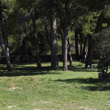 Konukevi Double 4309e