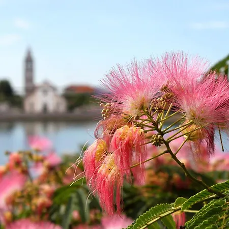 Double 4309e Pašman