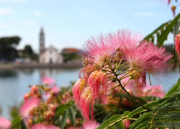 Double 4309e Pašman